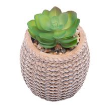 Cachepot Wolff de Cerâmica com Suculenta Sisal 7,5cm x 7,5cm