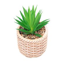 Cachepot Wolff de Cerâmica com Suculenta Rattan 10cm x 17cm