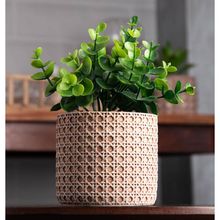 Cachepot Wolff de Cerâmica com Suculenta Treliça 10cm x 10cm