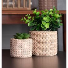 Cachepot Wolff de Cerâmica com Suculenta Treliça 7,5cm