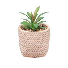 Cachepot Wolff de Cerâmica com Suculenta Trançado 10cm