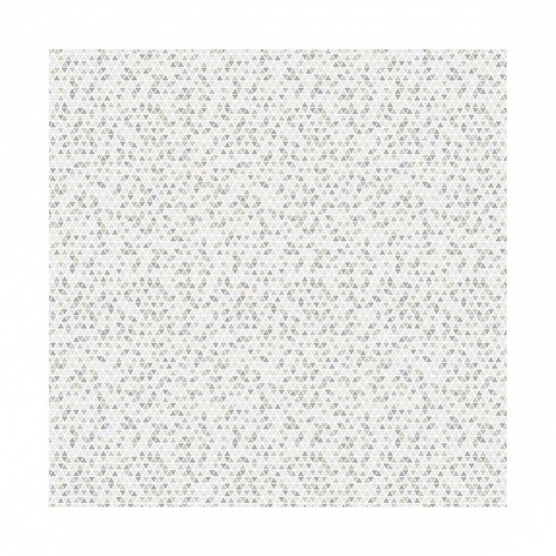 16909796920483
