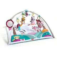 Tapete de Atividades Deluxe Gymini Tiny Princess - Tiny Love PRONTA ENTREGA