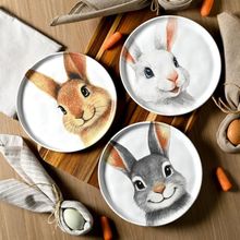 Jogo Pratos Sobremesa Sorrisos Coelho Páscoa 21,5cm Kit 3pçs