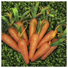 Enfeite Decorativo Páscoa 18 Cenouras Pendentes Isopor 11cm