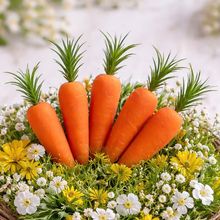 Enfeite Decorativo Cenouras Cenourinhas Páscoa 8cm Kit 24pçs