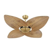 Ventilador De Teto Dormamu Dourado Office 4 Pás Rádica Freijó 127v