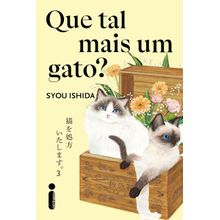 Que tal mais um gato?
