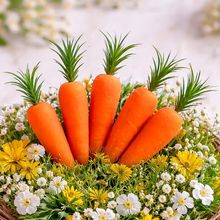 Enfeite Decorativo Cenouras Cenourinhas Páscoa 8cm Kit 48pçs