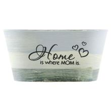 Kit 2 Mini Vasos De Planta Cachepot Estampados Decorados 9cm