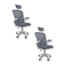 Kit Com 2 Cadeiras De Escritório Diretor Oficial Vegas Com Apoio + Ebook Cinza E Branco 2