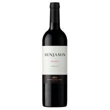 Vinho Tinto Argentino Benjamin Malbec – Nieto Senetiner