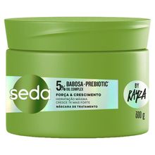 Máscara de Tratamento Seda Babosa Prebiotic 300g