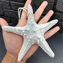 Enfeite Decorativo Estrela do Mar Decorativo em Resina Resistente e Durável Branco Outras Marcas