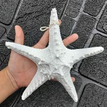 Enfeite Decorativo Estrela do Mar Decorativo em Resina Resistente com Acabamento Realista Branco