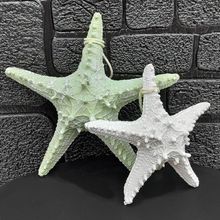 Enfeite Decorativo Estrela do Mar Decorativa Kit 2 Peças com Acabamento Realista Branco, Verde