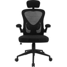 Cadeira Ergonômica Fortrek Ergo Base Mesh Preta [f002]