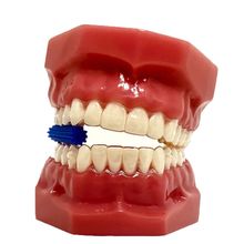 Mordedor Power Aligner M - Menta REF: 130 - CORALDENT