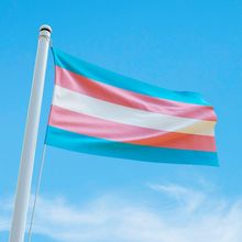 Bandeira Avulsa Orgulho Lgbt Cores Em Cetim Brilhante - Tamanho Grande 1,20m X 85cm Cor Trans