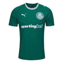 Camisa Puma Palmeiras I 2026/27 Torcedor Masculina