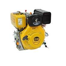Motor BFD 7,0CV Partida Manual Buffalo